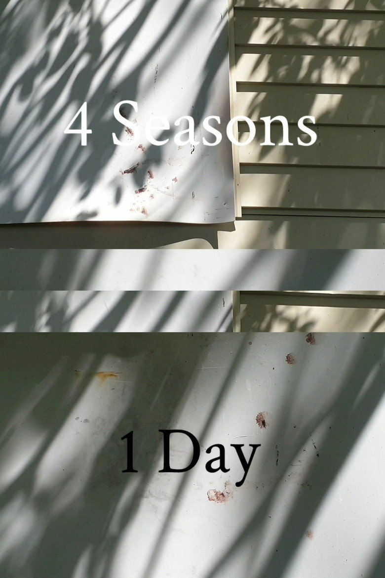 4 Seasons 1 Day preview