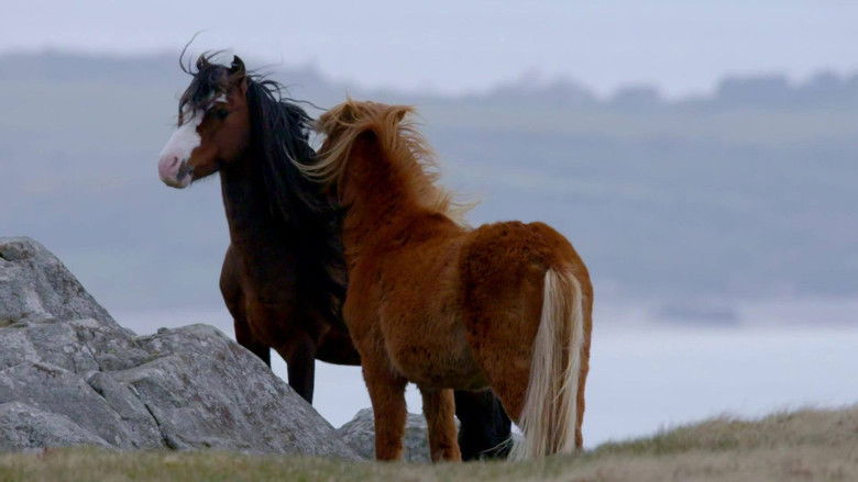 Still image for Wales: Land of the Wild season 1 episode 1: The Return of The Sun Still image for Wales: Land of the Wild season 1 episode 1: The Return of The Sun