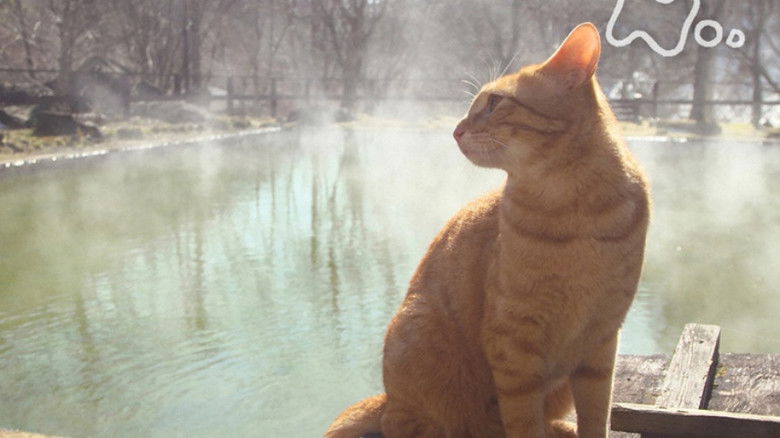 Still image for Mitsuaki Iwago's World “Cats” Travelogue season 1 episode 92: Nikko, Nasu, Shiobara Still image for Mitsuaki Iwago's World “Cats” Travelogue season 1 episode 92: Nikko, Nasu, Shiobara