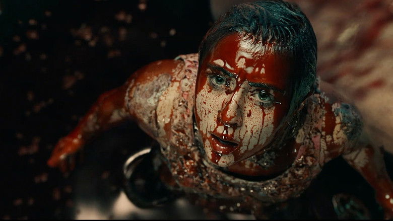 5trdiad3yzs2is9ae6nd0a0rans