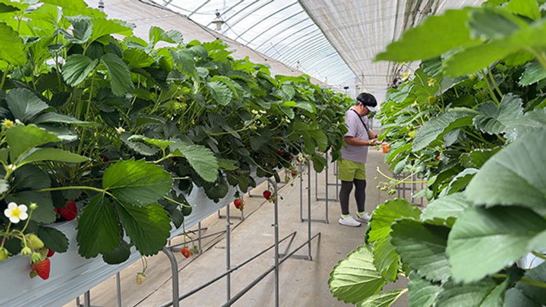 Still image for バナナマン日村が歩く!ウォーキングのひむ太郎 season 1 episode 127: Episode 127 Still image for バナナマン日村が歩く!ウォーキングのひむ太郎 season 1 episode 127: Episode 127