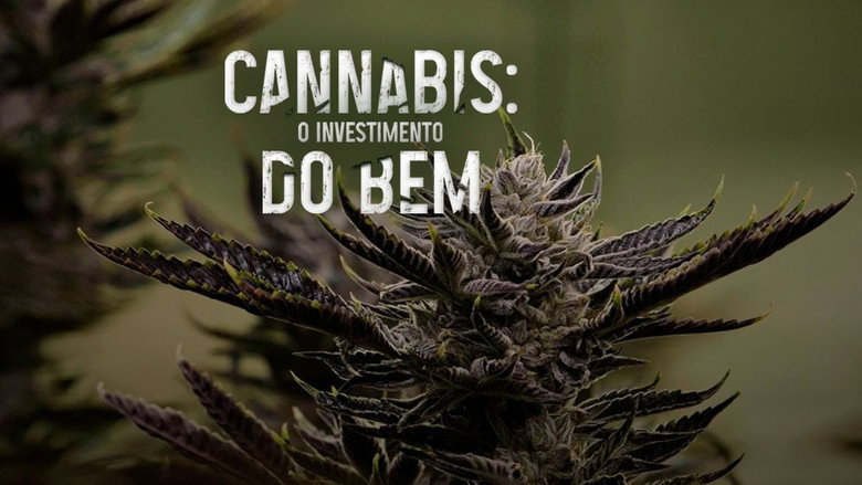 Imatge de Cannabis: O Investimento do Bem