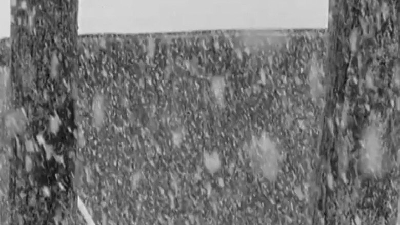 Imatge de Snow