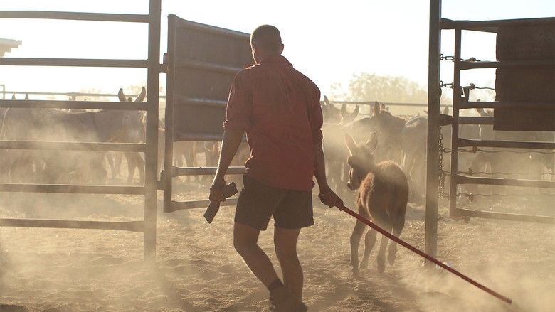 Still image for Outback Ringer season 1 episode 10: Episode 10 Still image for Outback Ringer season 1 episode 10: Episode 10
