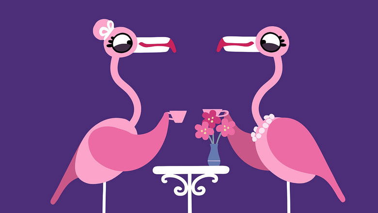 Still image for Animanimals season 1 episode 15: Flamingo Still image for Animanimals season 1 episode 15: Flamingo