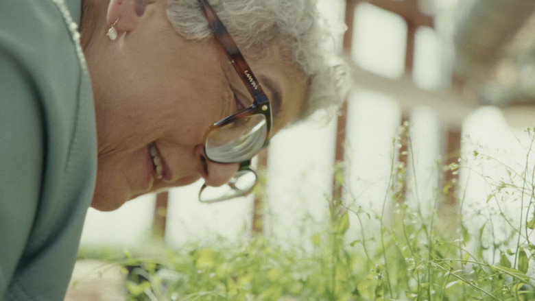 Still from Plant Life
