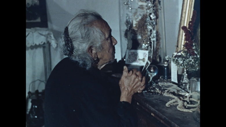 Gallery image from 5Wy06iWDJyeNJg6TLGPw9LrcYgc.jpg