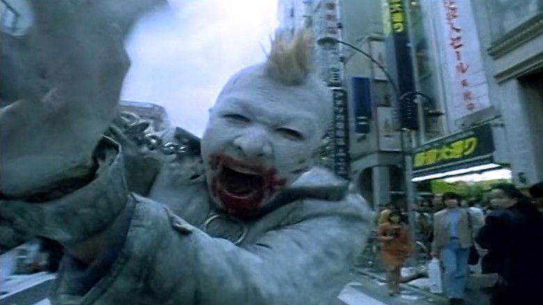 5x6d4orwpu3jicd51bmstujlpbr