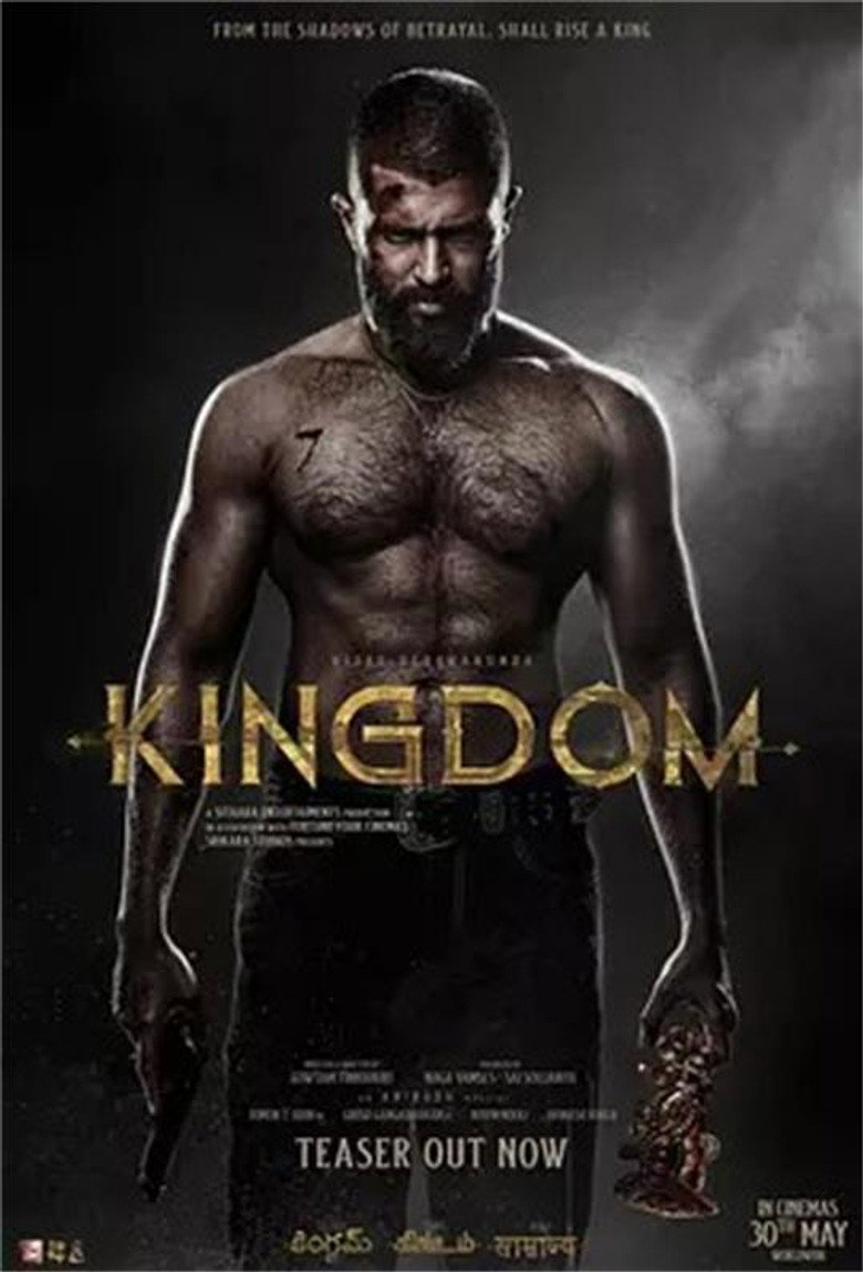 王国 Kingdom (2025)-光鸭·臻影社