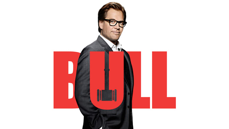 Bull (2016)