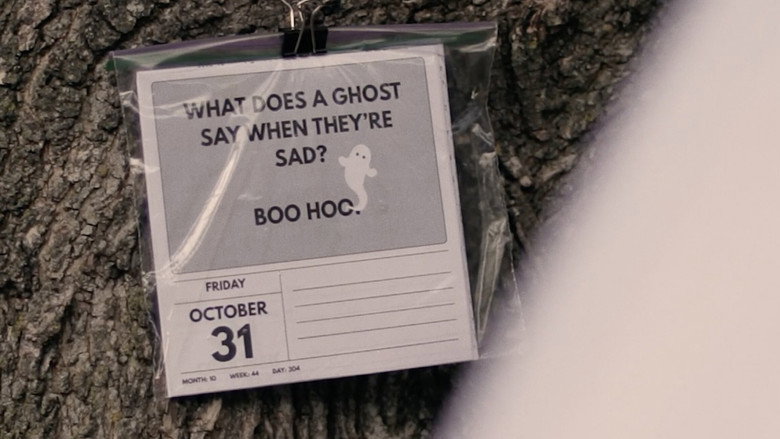 You Saw a Ghost galeri 6