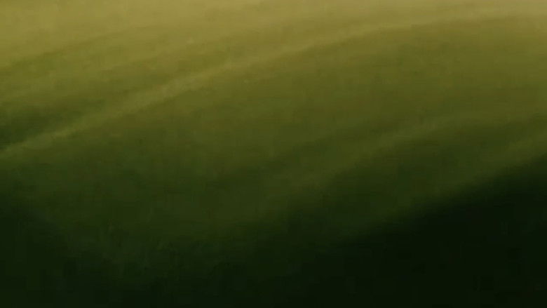 Gallery image from 5YqqIJLWqZhIcBaPyMeDR5HYOqA.jpg