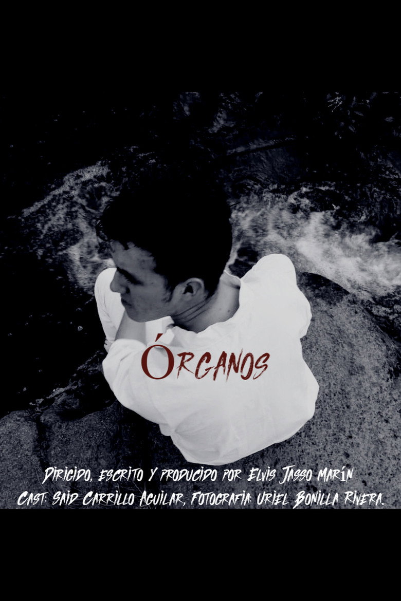 Imatge de Órganos