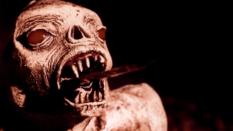 Backdrop de Xtro Collection