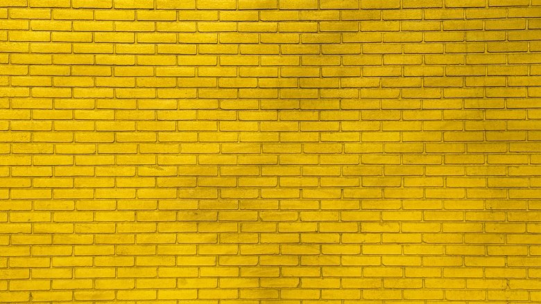 Walls For Women (2021)