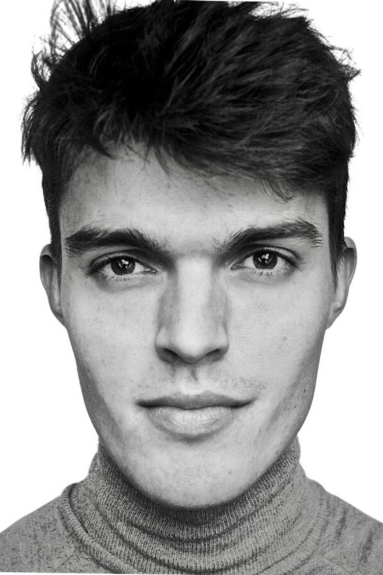 Laurens Raveel portrait