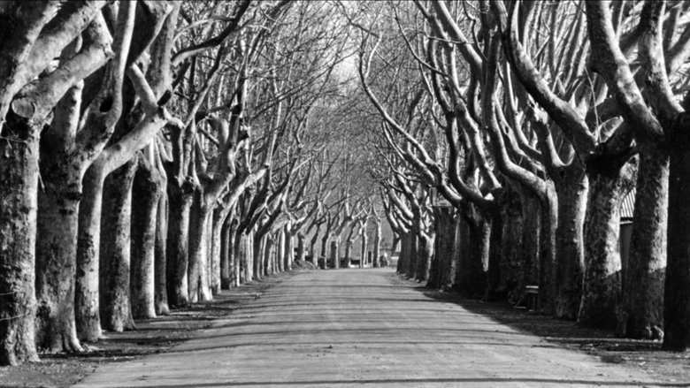 Gallery image from 5ZwhdBNmKES3iep6EXtdbroZ8SG.jpg