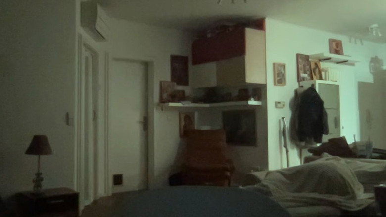 Imatge de Dahlias Video Diary