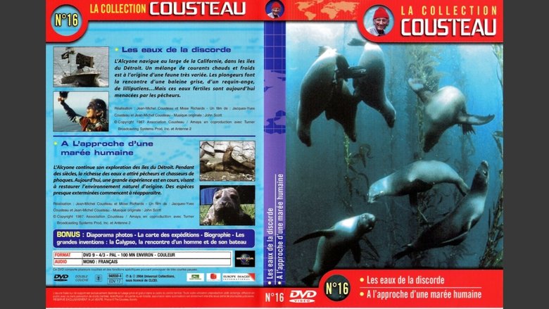 The Cousteau Collection N°16-1 | Strait Islands: The Waters of Discord main backdrop