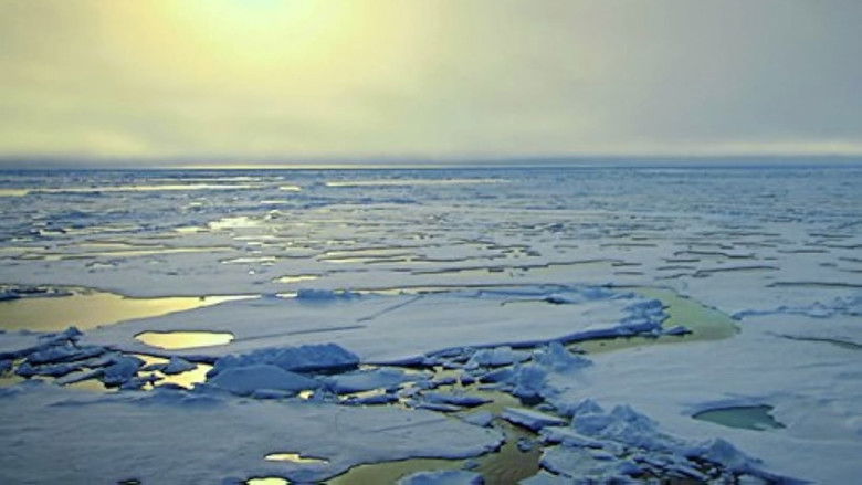 Still image for Wildest Arctic season 1 episode 1: Arctic Ocean: The Frozen Sea Still image for Wildest Arctic season 1 episode 1: Arctic Ocean: The Frozen Sea
