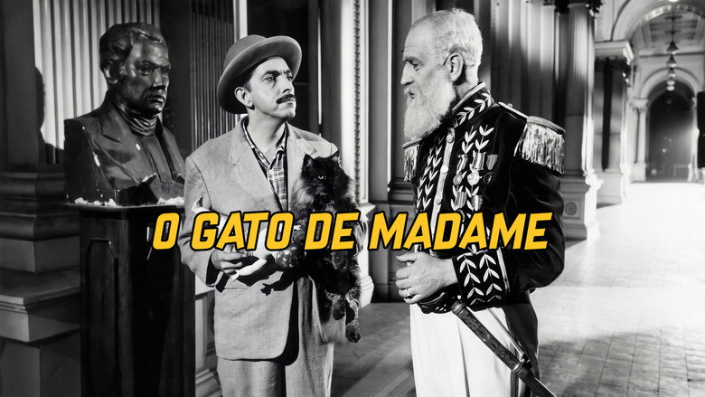 O Gato de Madame