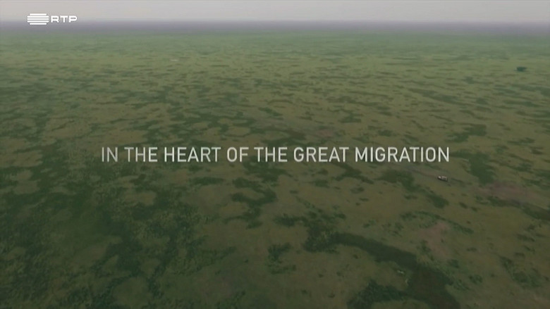 Still image for Planet Safari season 1 episode 5: Episode 5