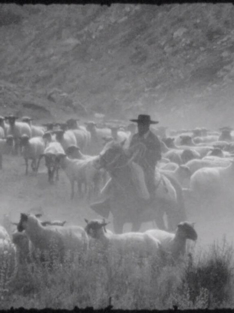 Imatge de Al amparo del cielo