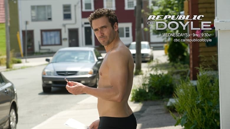 Republic of Doyle (2010)