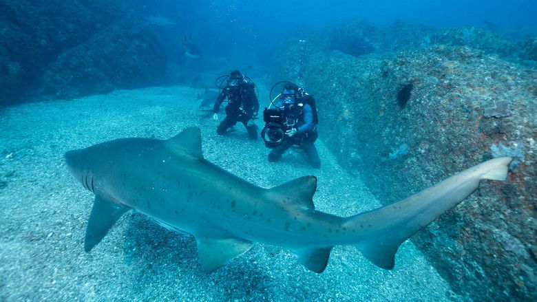 Still image for Super Shark Highway season 1 episode 4: The Social Network