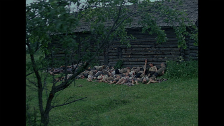 Film backdrop