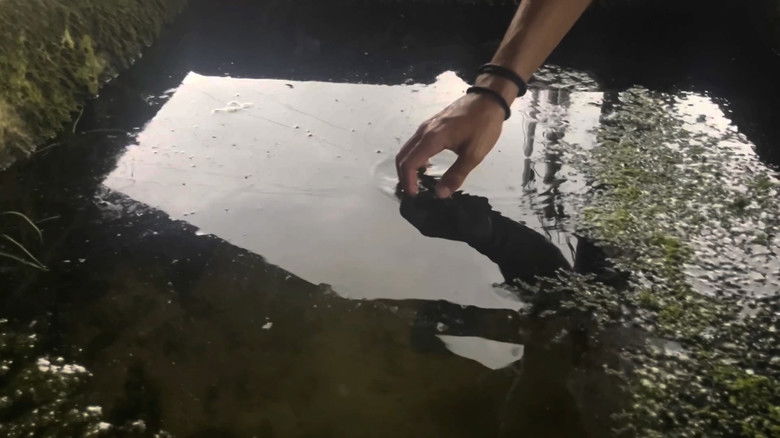 Imatge de Psychical Pearls