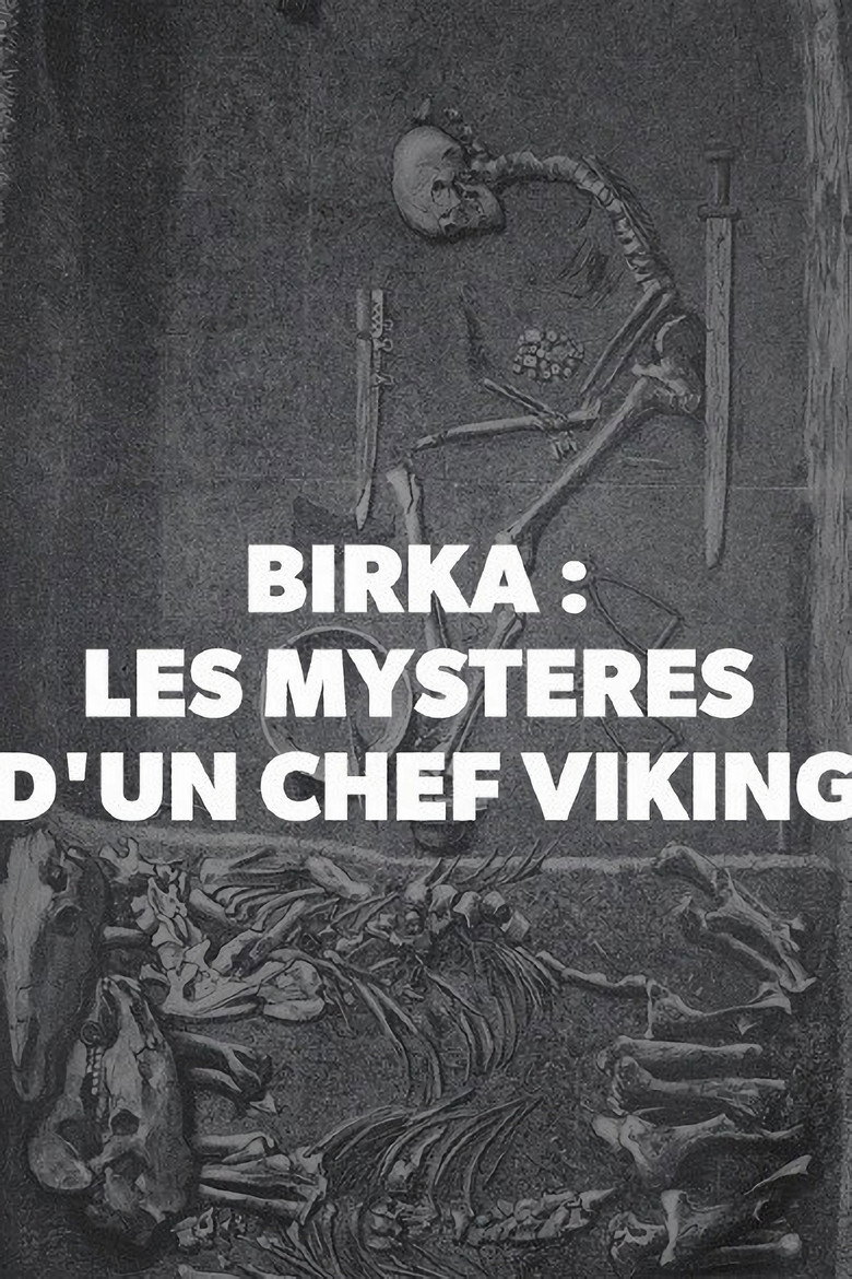 Affiche de BIRKA, LES MYSTÈRES D'UN CHEF VIKING