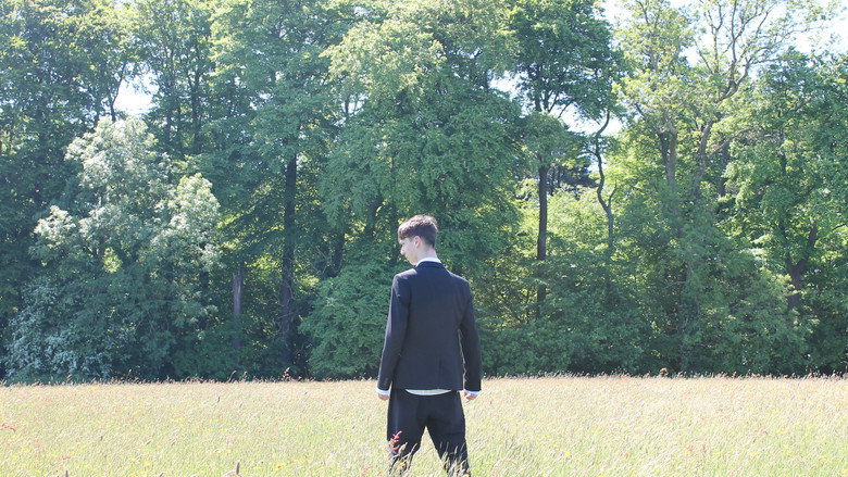 Backdrop from The Huxley Wood