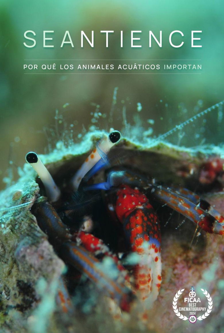 Imatge de Seantience