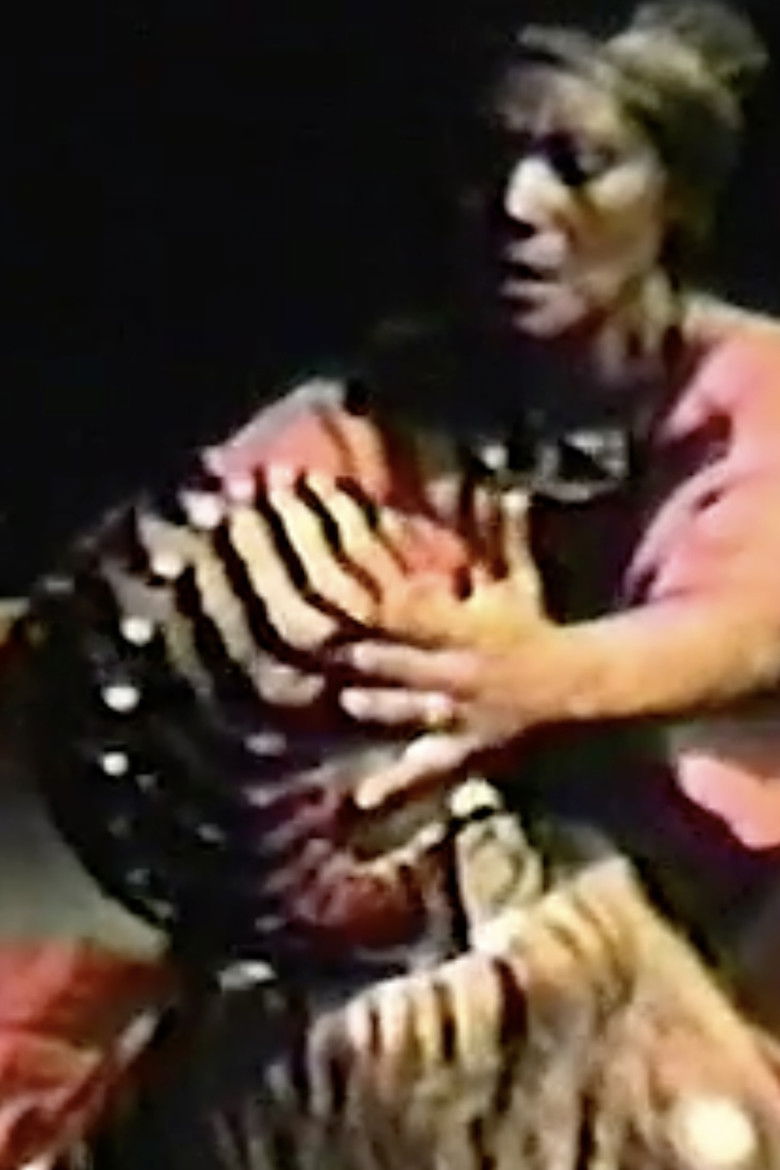 Imatge de Petroglifos