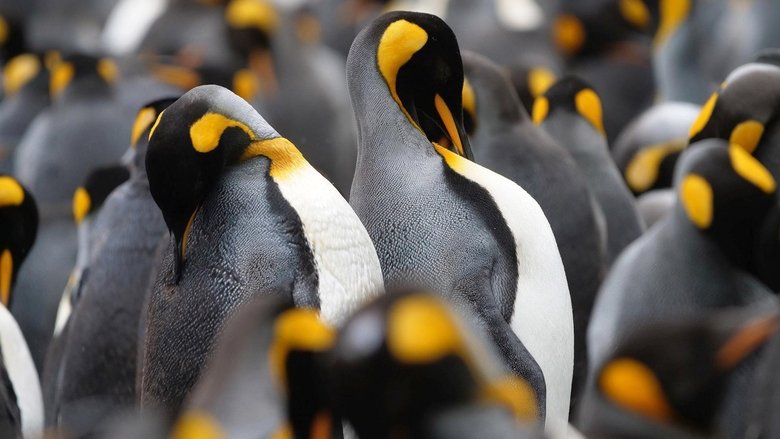 Still image for A Year on Planet Earth season 1 episode 5: Full Circle Still image for A Year on Planet Earth season 1 episode 5: Full Circle