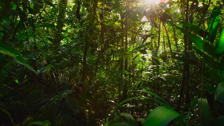 Still from Planet Erde II: Eine Erde - viele Welten - Season 1 Episode 3