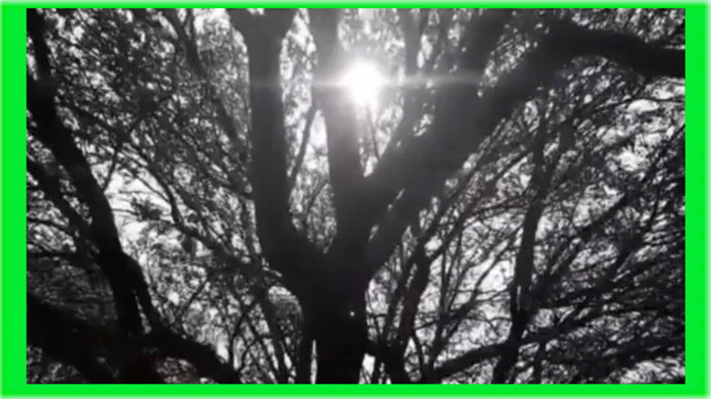 El Pintor Sin Cara (2023)