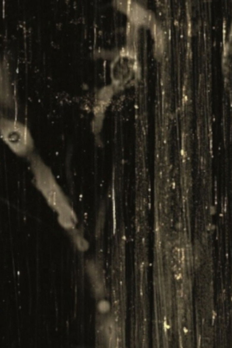 Imatge de 光の絵巻