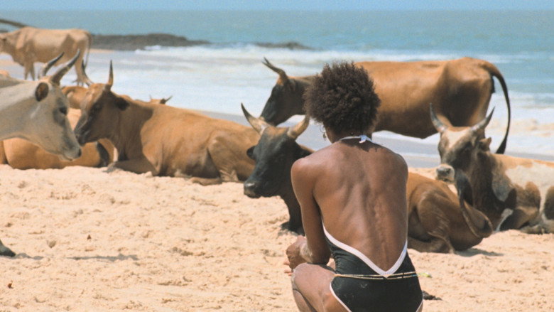 Imatge de O Riso e a Faca