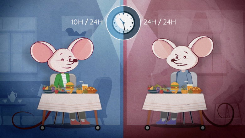 Imatge de Le jeûne, enquête sur un phénomène