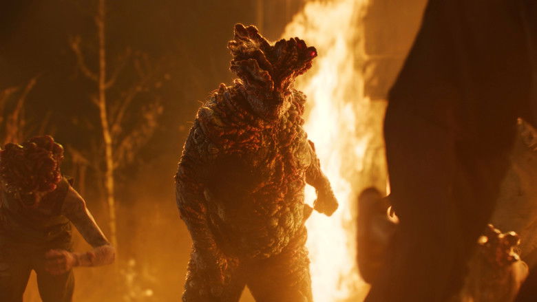 &nbsp;Серіал «Останні з нас» (2023) / The Last of Us. Джерело: The Movie Database (TMDb)