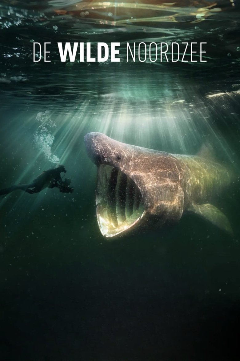 North Sea – Nature Untamed main poster