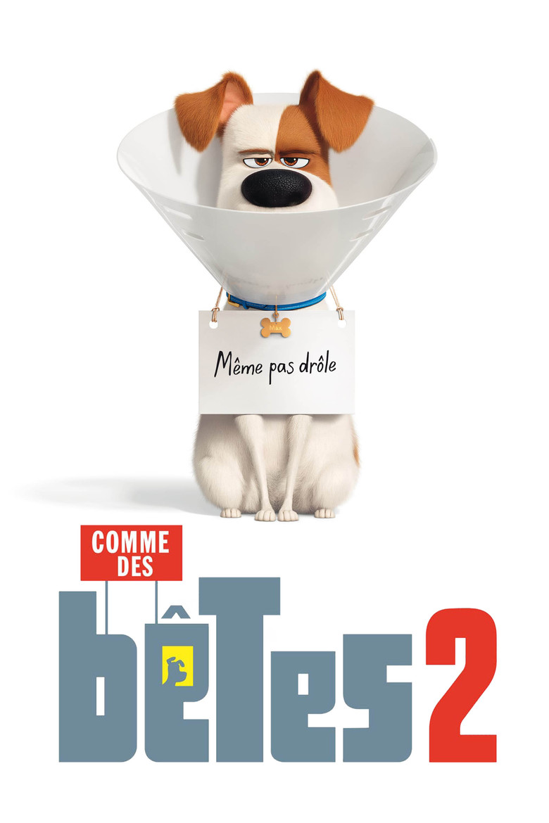 Póster la Película