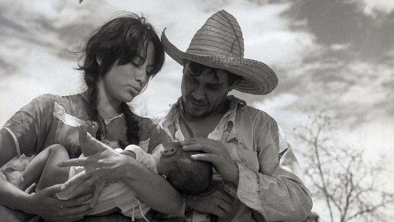 Gallery image from 5kOtDXUcICdHrEHzlqbi1O4vZrf.jpg