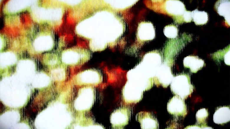 Imatge de It'll keep going