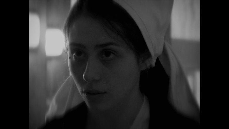 Imatge de Ultima Noapte