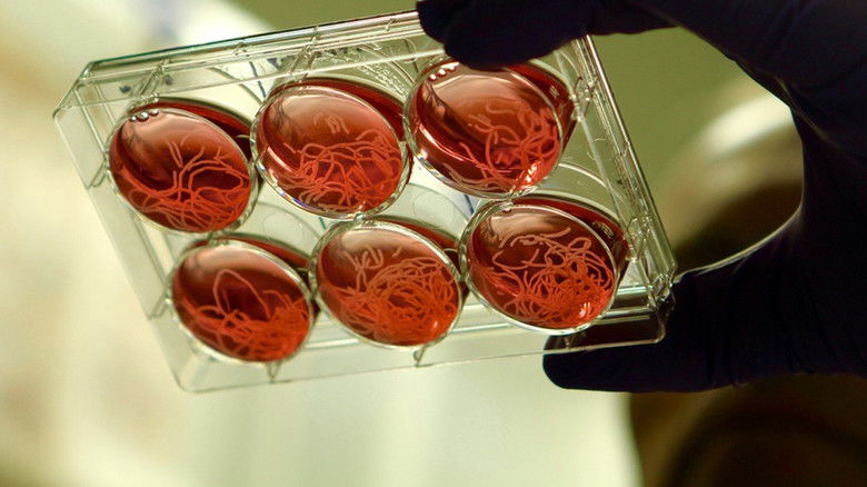 Still image for Doc humanité season 1 episode 10: Episode 10 Still image for Doc humanité season 1 episode 10: Episode 10