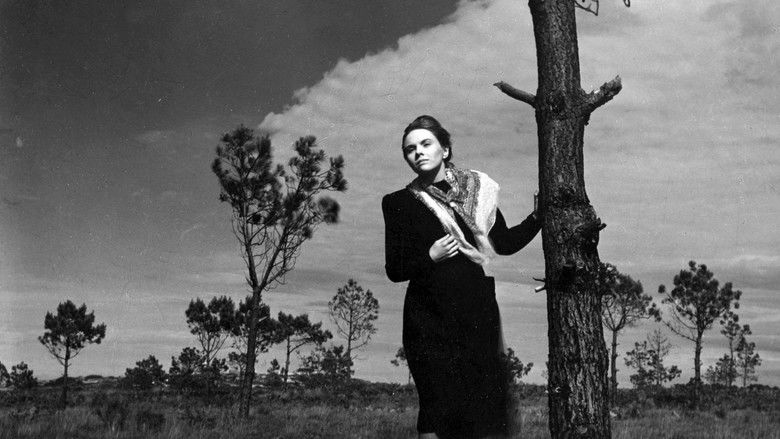 Image d'arrière-plan 3 du film Pattes blanches