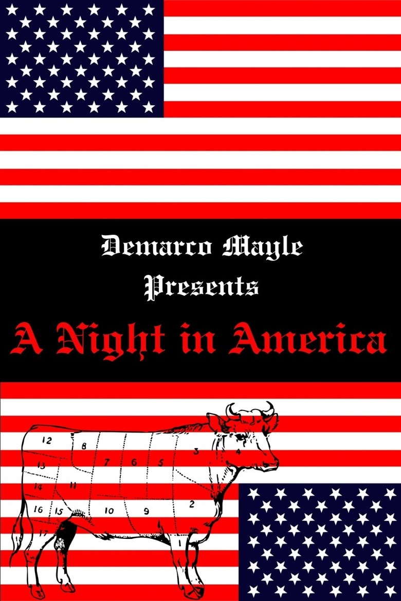 A Night in America main poster